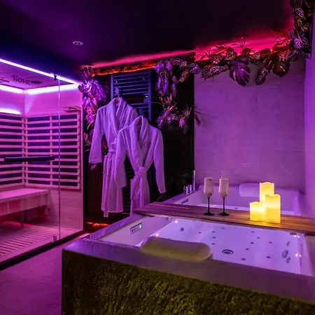 L'after Plume - Sauna - Centre * Tours