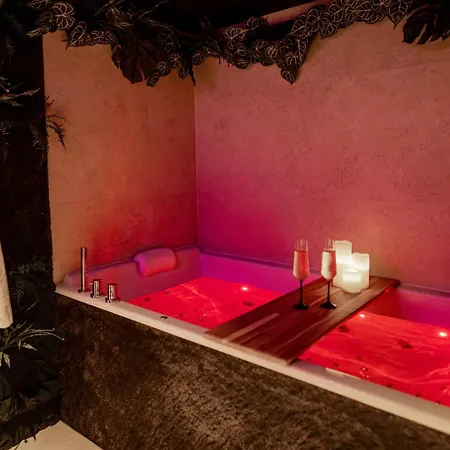 L'after Plume - Sauna - Centre Apartment